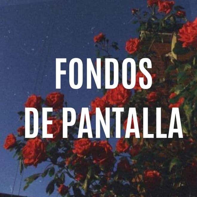 Fondos de pantalla minimalistas: cómo elegir el tuyo