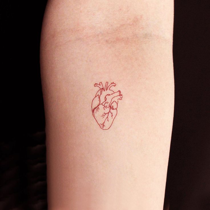 Red anatomical heart temporary tattoo set of 3