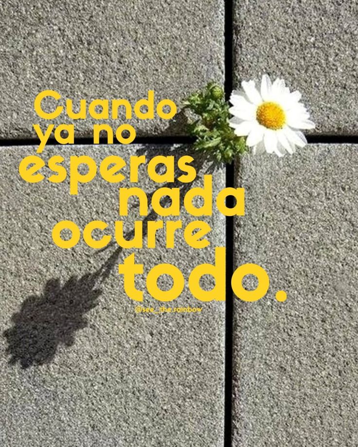 La vida esta llena de sorpresas y maravillas cuando dejamos ir las expectativas y nos abrimos a lo desconocido ✨️🌼 LibertadDeExpectativas SorpresaYMaravilla LoDesconocido AbrirteALaVida DejarIr FluirC