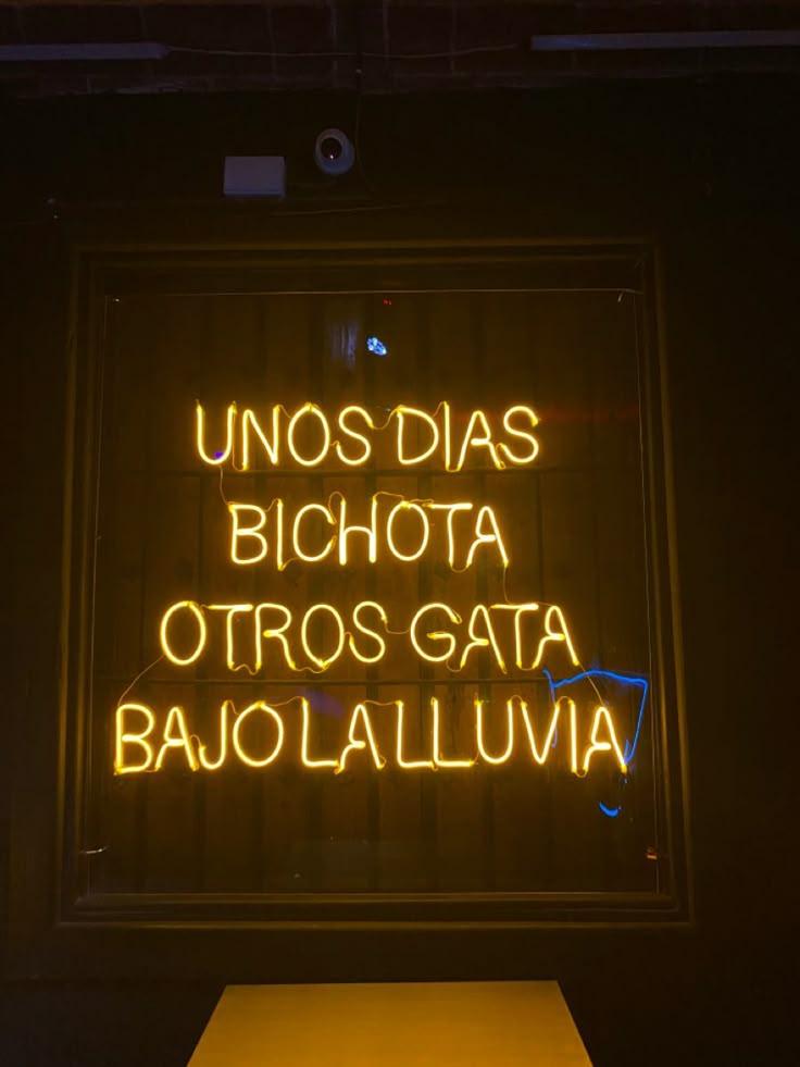 Unos dias bichota otros gata bajo la lluvia