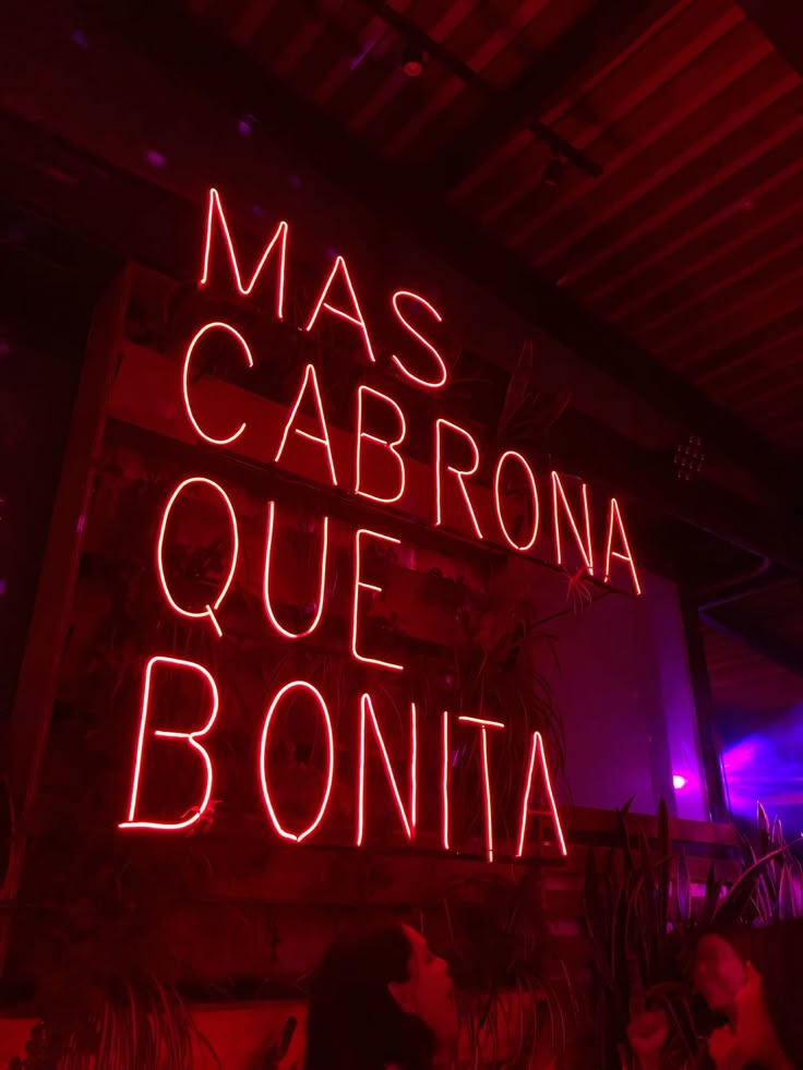 descarga 11