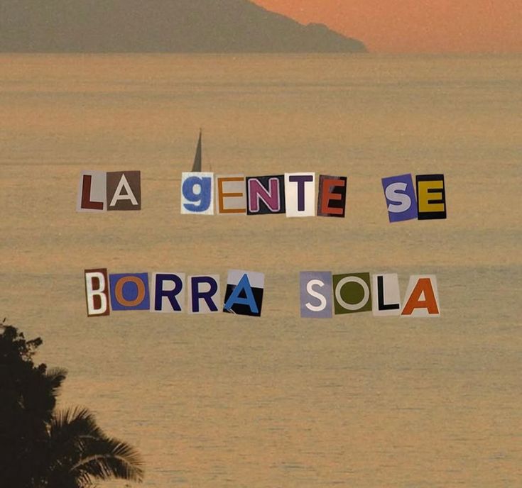 descarga 24