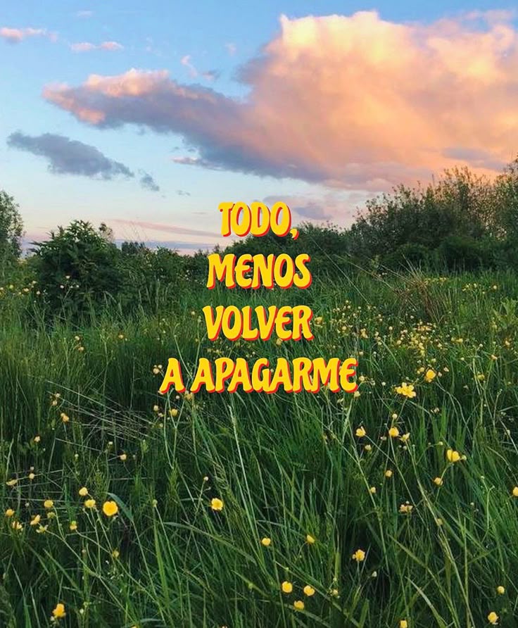 descarga 31