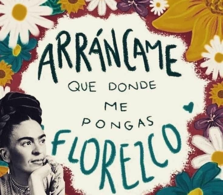 descarga 51