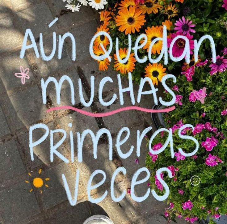 hola ya regrese